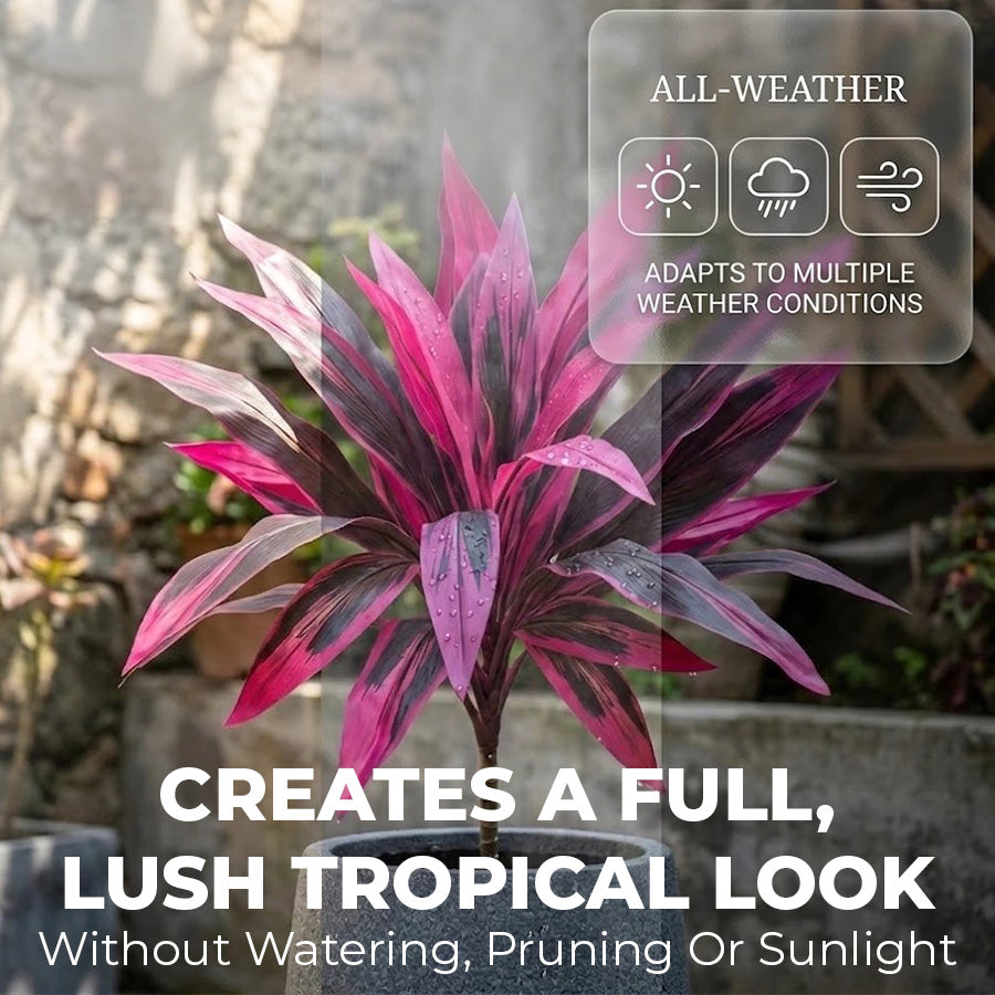 🔥Last Day 50% OFF🔥2Pcs Artificial Boston Fern & Dragon's Blood Tree Plants