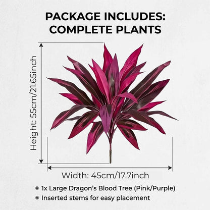 🔥Last Day 50% OFF🔥2Pcs Artificial Boston Fern & Dragon's Blood Tree Plants