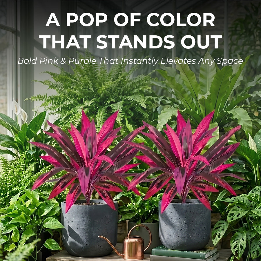 🔥Last Day 50% OFF🔥2Pcs Artificial Boston Fern & Dragon's Blood Tree Plants