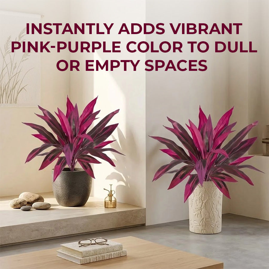🔥Last Day 50% OFF🔥2Pcs Artificial Boston Fern & Dragon's Blood Tree Plants