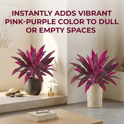 🔥Last Day 50% OFF🔥2Pcs Artificial Boston Fern & Dragon's Blood Tree Plants