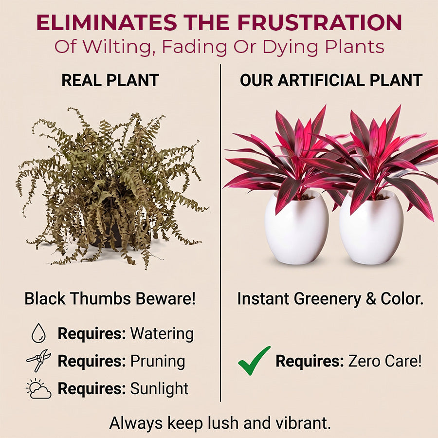 🔥Last Day 50% OFF🔥2Pcs Artificial Boston Fern & Dragon's Blood Tree Plants