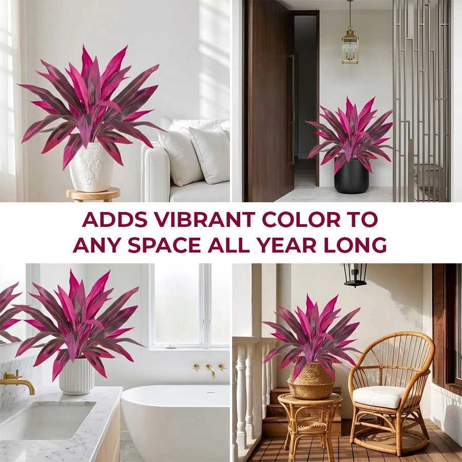 🔥Last Day 50% OFF🔥2Pcs Artificial Boston Fern & Dragon's Blood Tree Plants