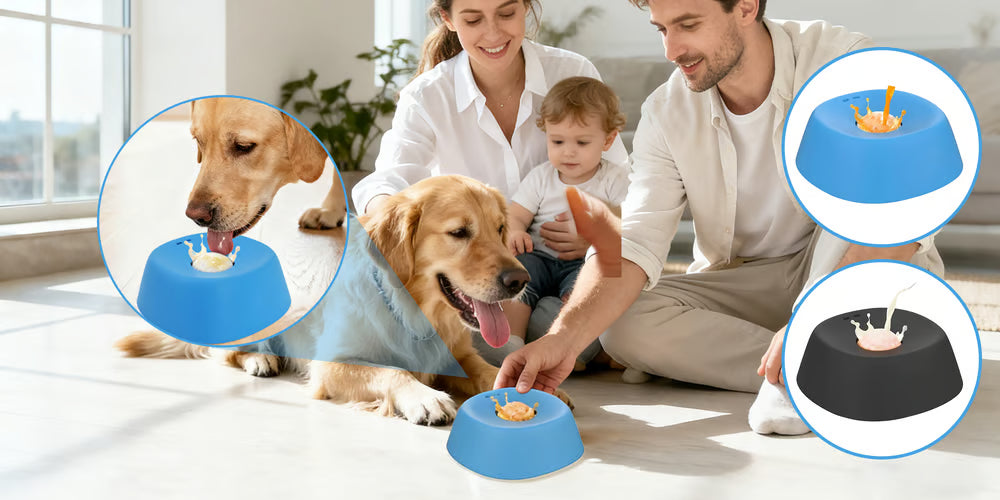 Slow-Feed Liquid Dog Bowls