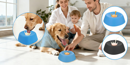 Slow-Feed Liquid Dog Bowls