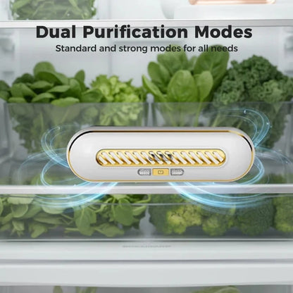 Rechargeable Portable Fridge Sterilizer