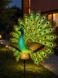 Peacock