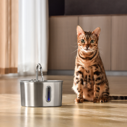 Your Cat Deserves Cleaner, Fresher Water 🐱💧