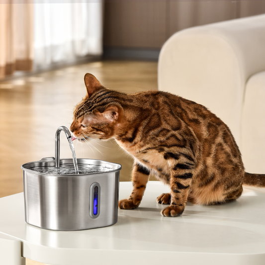 Your Cat Deserves Cleaner, Fresher Water 🐱💧