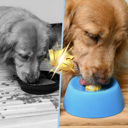 Slow-Feed Liquid Dog Bowls