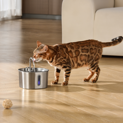 Your Cat Deserves Cleaner, Fresher Water 🐱💧