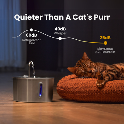 Your Cat Deserves Cleaner, Fresher Water 🐱💧