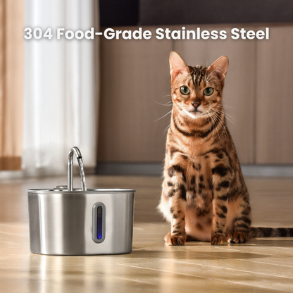 Your Cat Deserves Cleaner, Fresher Water 🐱💧