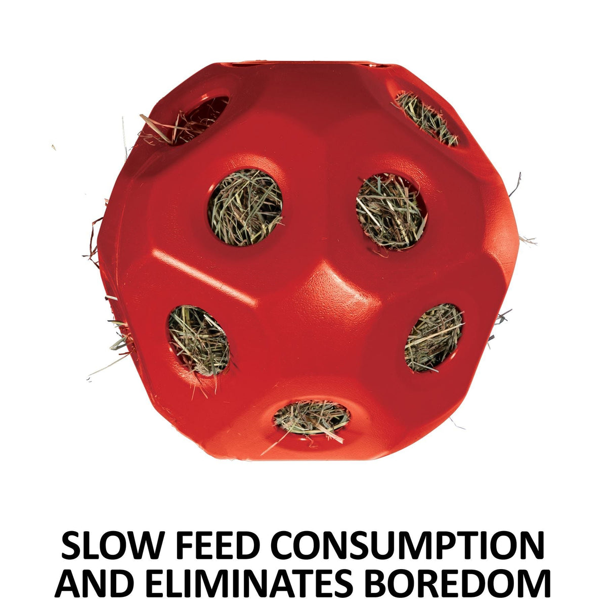 Schneiders® Slow Feed Hay Ball Feeder