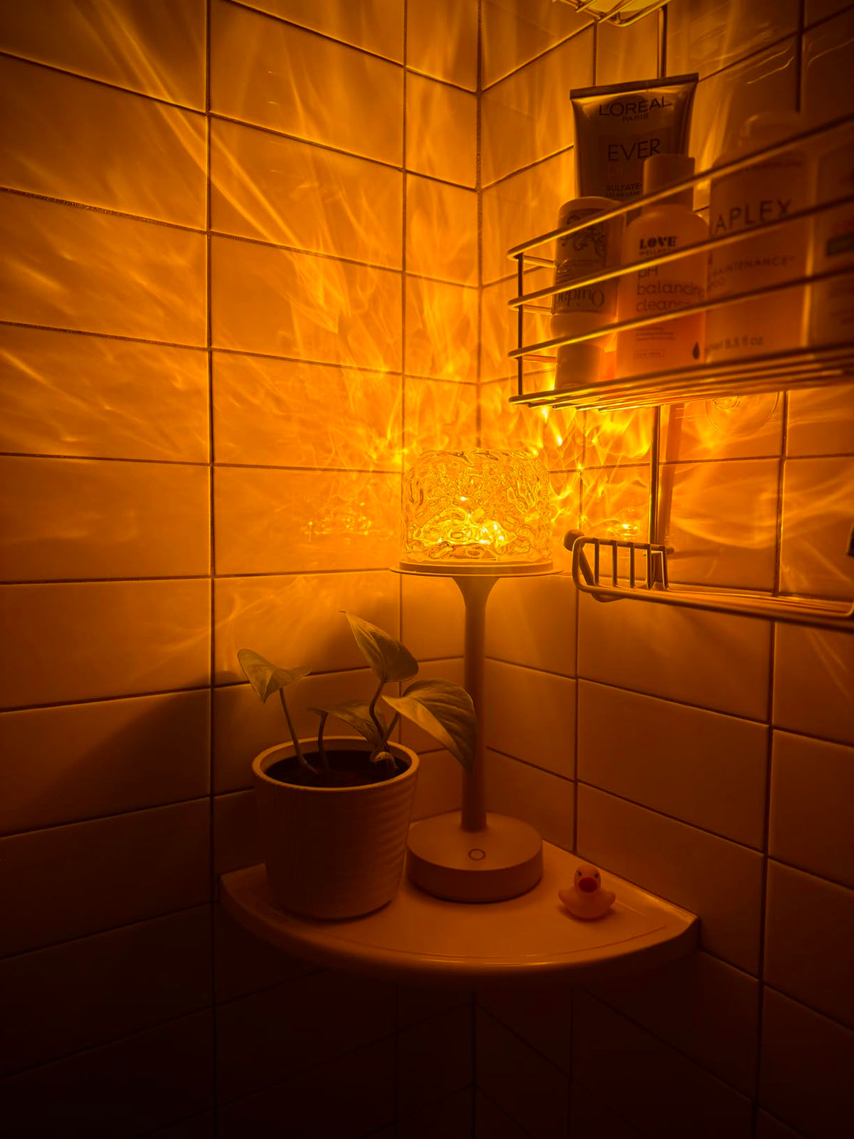 Jovqelo transform your walls into a living canvas of light and movement.