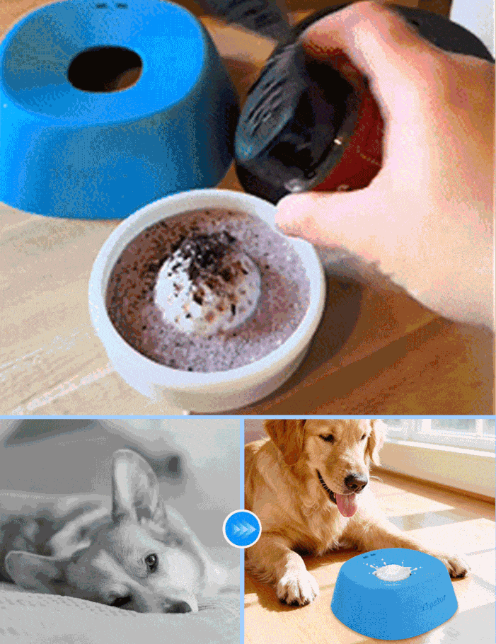 Slow-Feed Liquid Dog Bowls