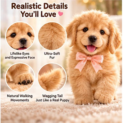 Golden Buddy puppy face and fur details