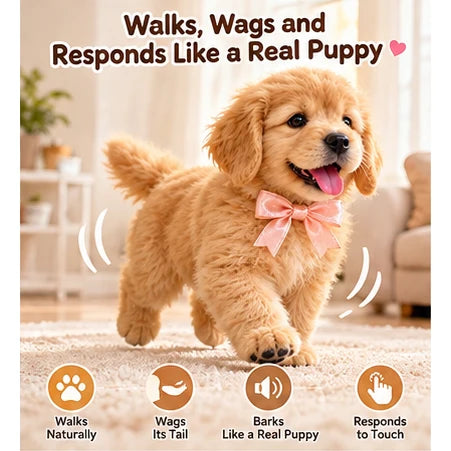 Golden Buddy movement features