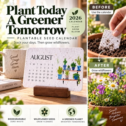 🔥2027 Seed Calendar: Eco-Friendly Plantable Love Seed Calendar 2026