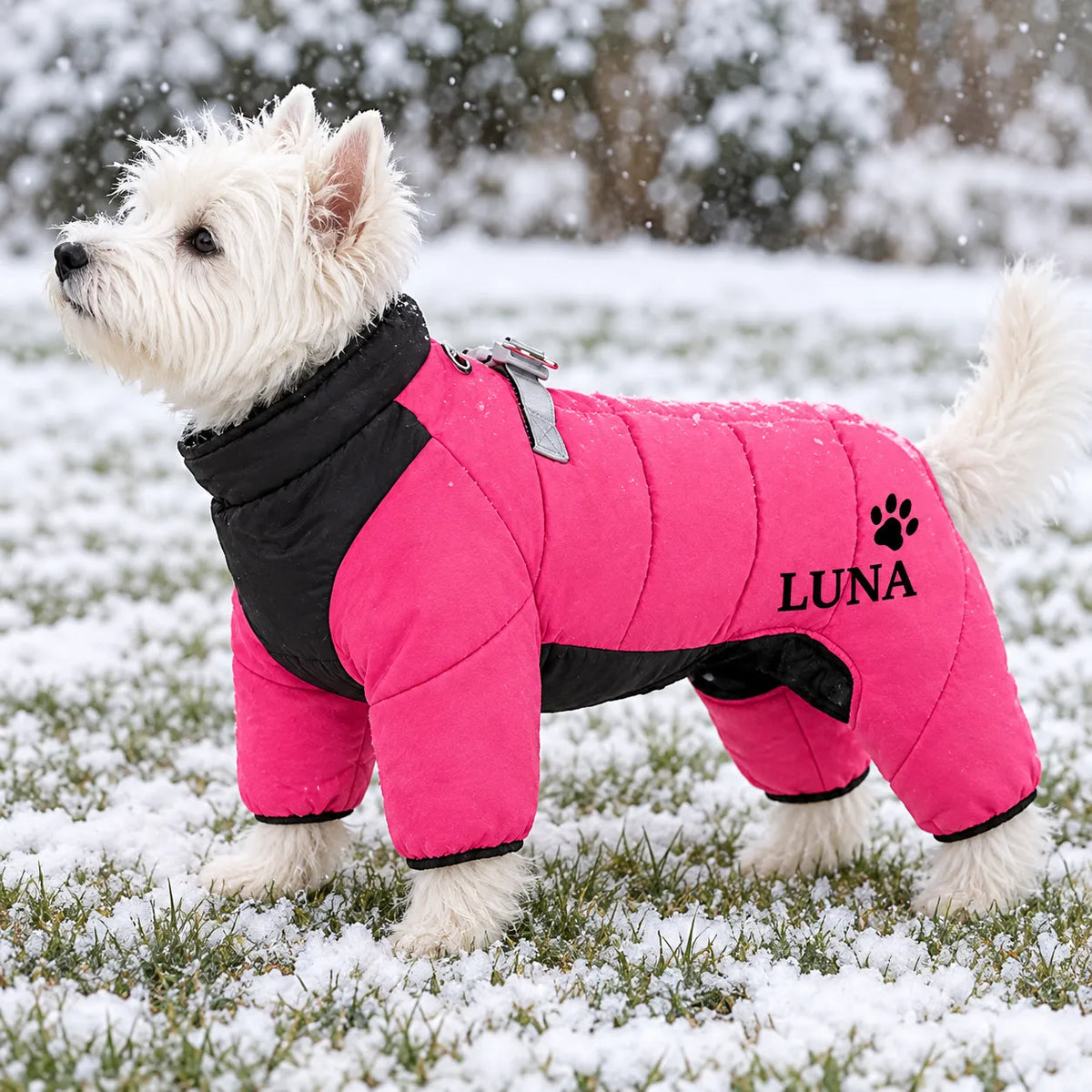 Personalized Pet Winter Warm Windproof Fleece-Lined Cotton Coat Jacket with name