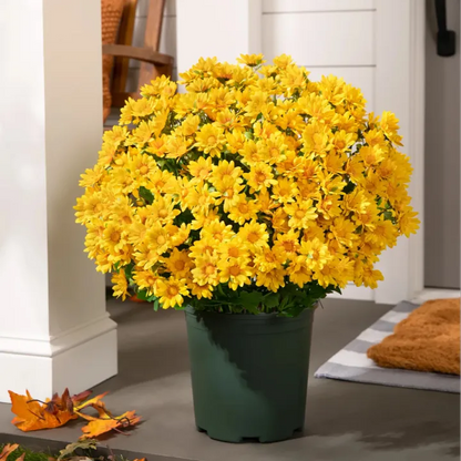 💥Last Day 70% OFF🌼Welcome autumn- Artificial Outdoor Sunset Mums Flowers - UV resistant, Waterproof, Windproof