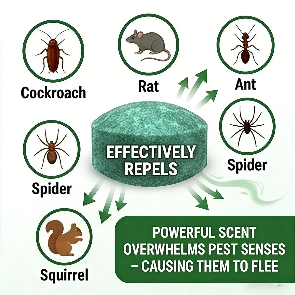 🌿 Natural Peppermint Rodent Repellent Balls (12-Pack) – Keep Rats & Mice Away 🐭🚫