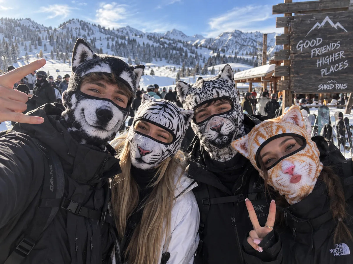 🐱 3D Cat Ski Balaclava – Eye-Catching Animal Face Mask for Outdoor Fun!