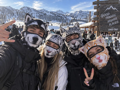 🐱 3D Cat Ski Balaclava – Eye-Catching Animal Face Mask for Outdoor Fun!