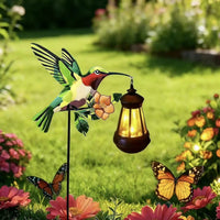 Hummingbird
