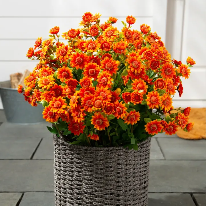 💥Last Day 70% OFF🌼Welcome autumn- Artificial Outdoor Sunset Mums Flowers - UV resistant, Waterproof, Windproof
