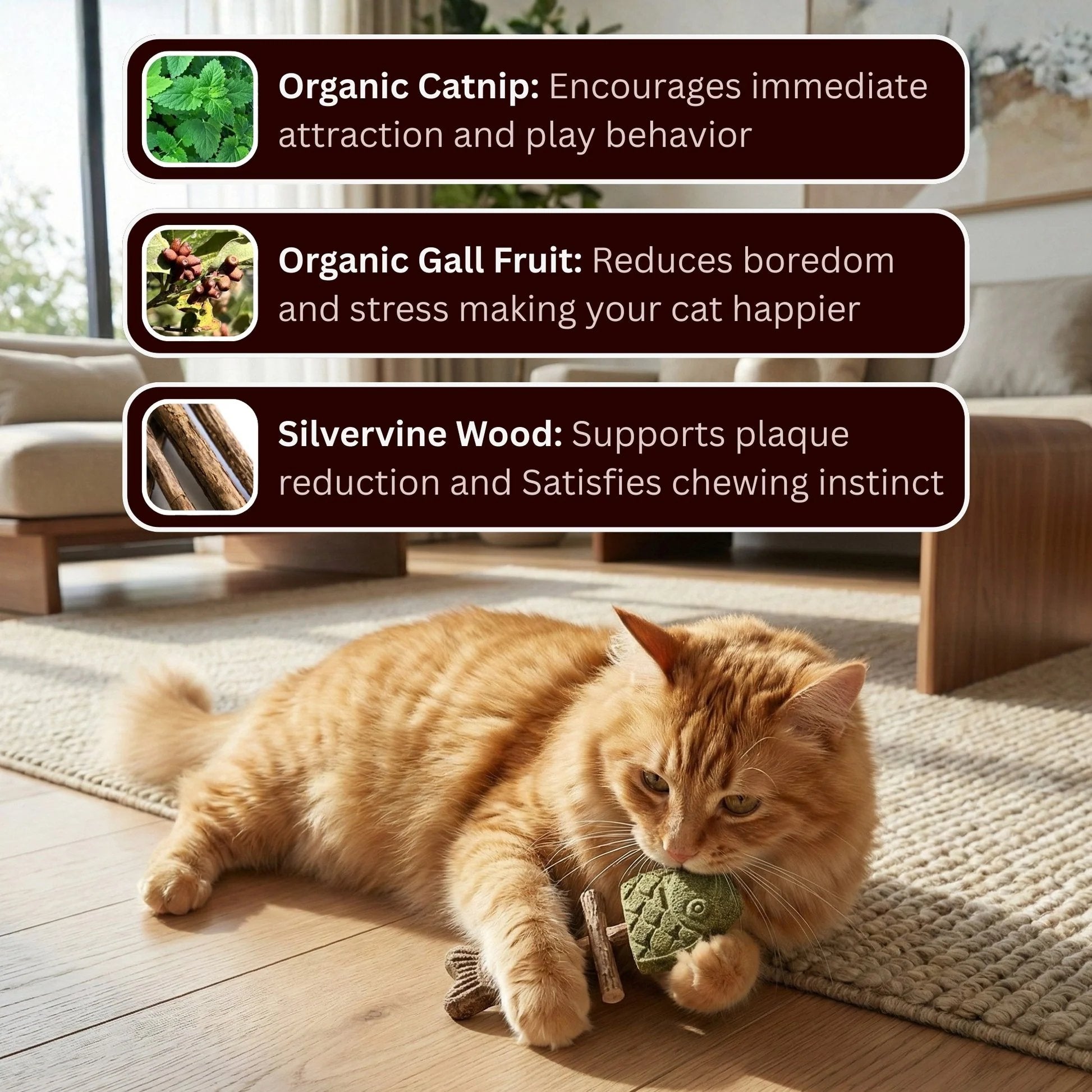 🔥🔥Day Sale 50% OFF🔥🔥 - Catnip & Silvervine Chew