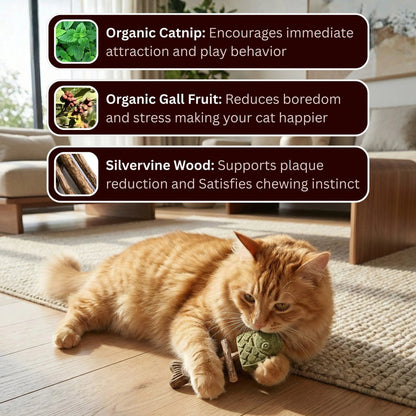 🔥🔥Day Sale 50% OFF🔥🔥 - Catnip & Silvervine Chew