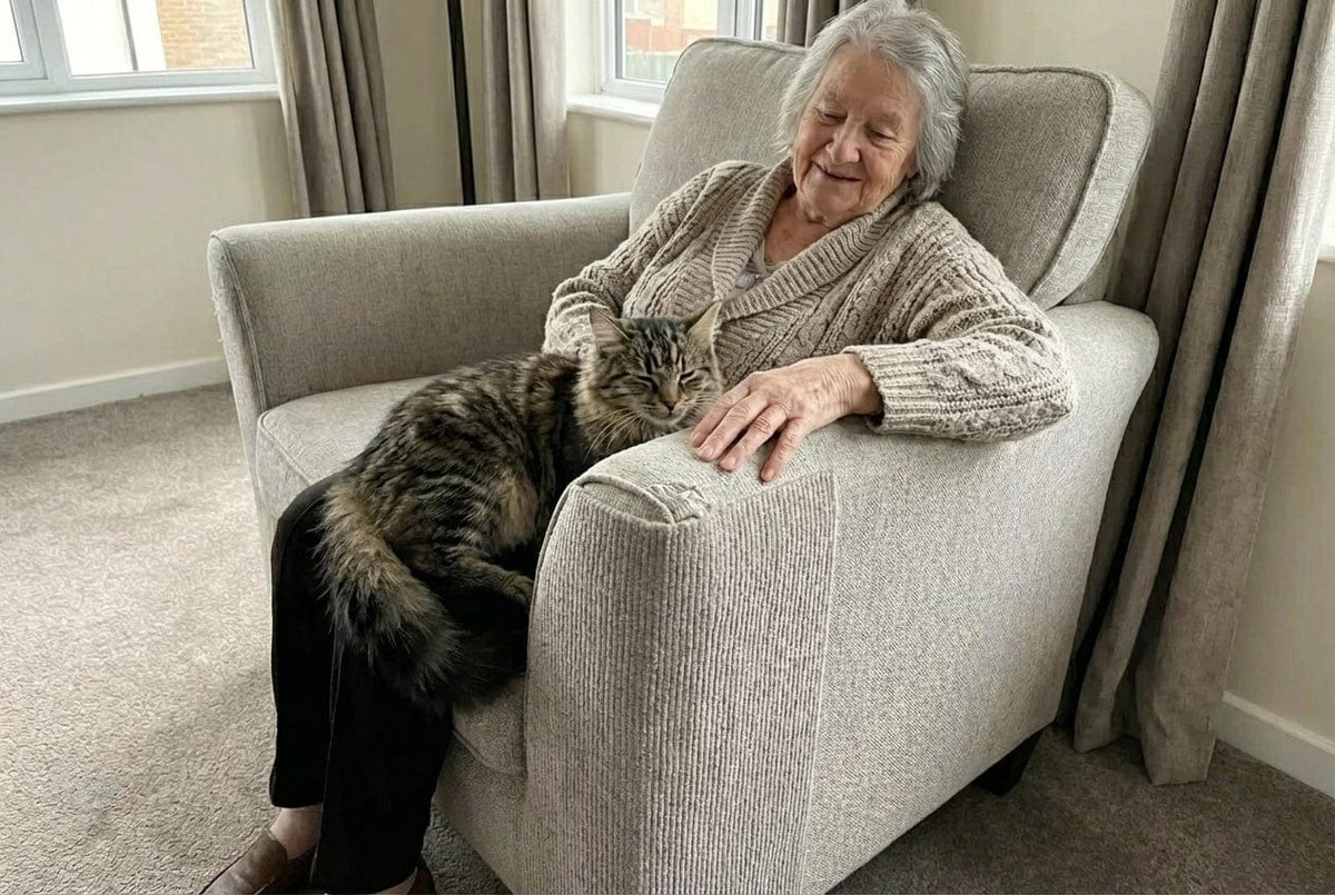🐱🐾 Self-Adhesive Cat Scratching Mat – Cut-to-Fit Scratch Protector for Sofas, Furniture & Cat Claw Care 🛋️✨