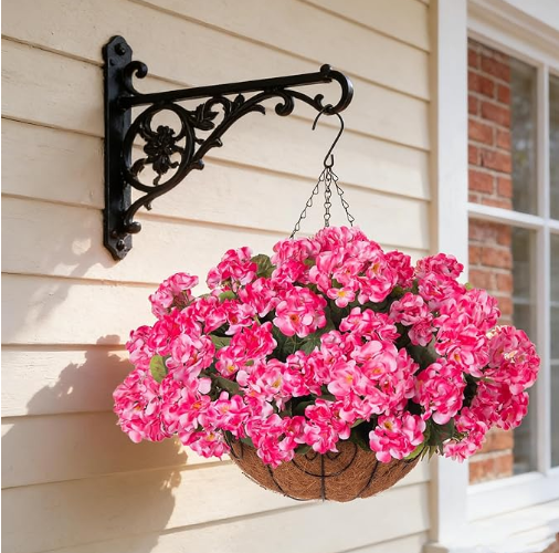 Classic Geraniums – The Christmas Flower That Never Wilts, Never Fades, Never Needs Watering