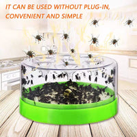 Standard (7-Hole) fly trap