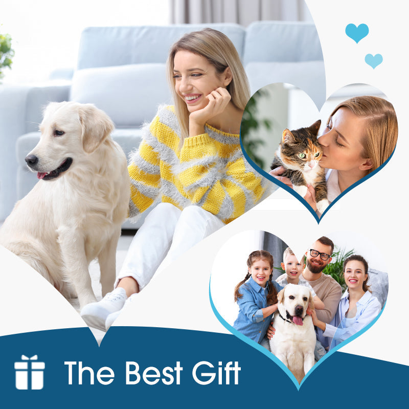 🐶Anti-Itch Ear Cleaner for Dogs & Cats