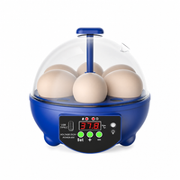 4 Eggs