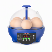 5 Eggs