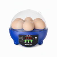 6 Eggs